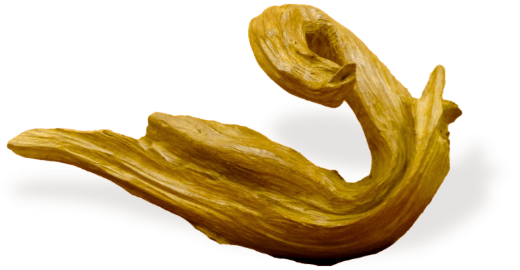 Agarwood Shaped Like A Swan